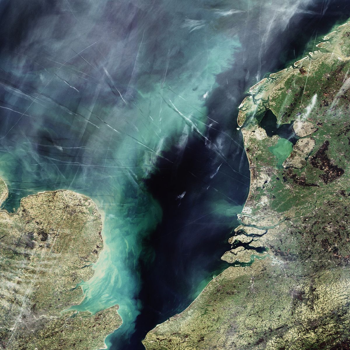 Image satellite de nombreuses traînées d’avions au-dessus de la mer du Nord