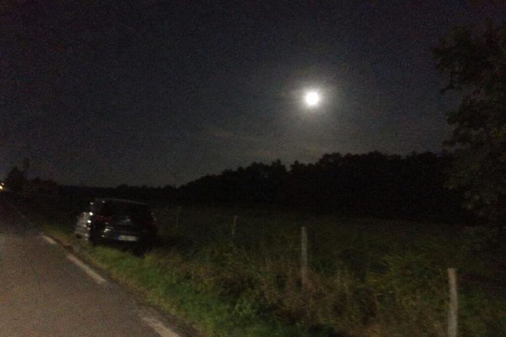 Illustration : lumière blanche au-dessus d’une lisière de forêt, de nuit, en bord de route