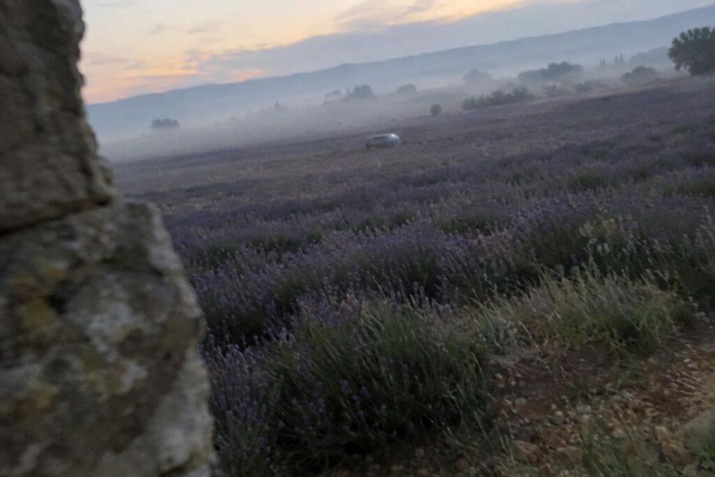 Objet ovale posé au loin dans un champ de lavande à Valensole, à l’aube